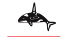 Tulalip Bingo