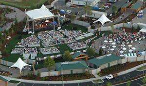 Sky view of a concert going on with a crowd in attendance.